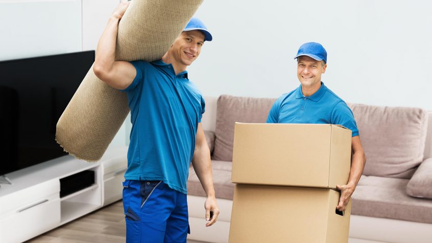 Specialized Moving